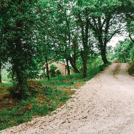 Parulia Country House Арецо Екстериор снимка