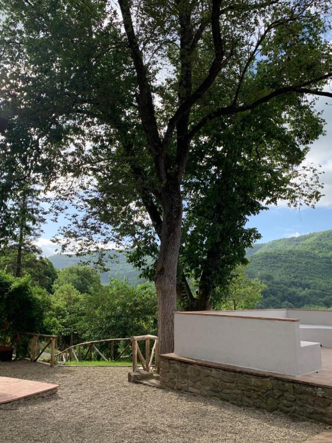 Parulia Country House Арецо Екстериор снимка